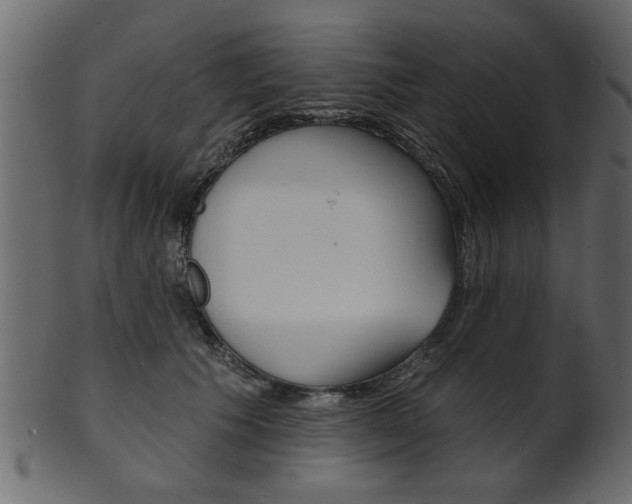 X0000102020609200807180945