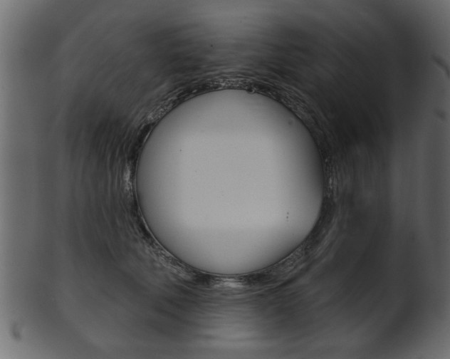 X0000102020610200807180945