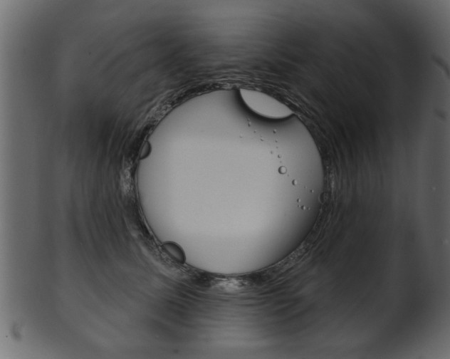 X0000102020611200807180945