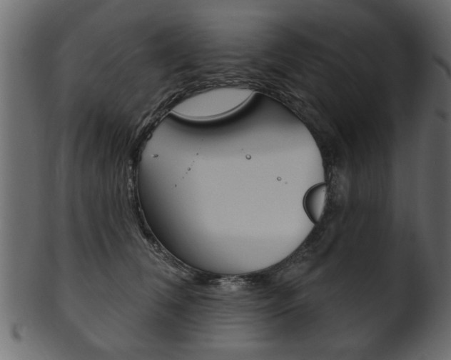X0000102020612200807180945