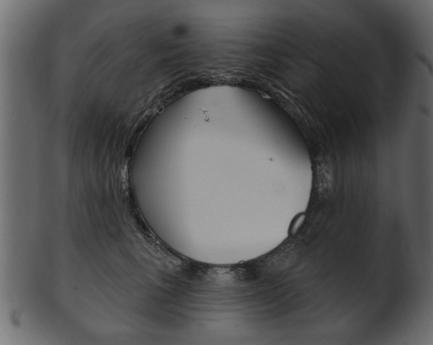 X0000102020613200807180944