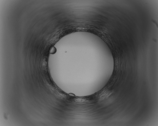 X0000102020614200807180944
