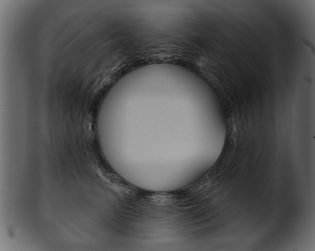 X0000102020615200807180944