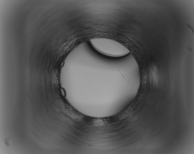X0000102020616200807180944