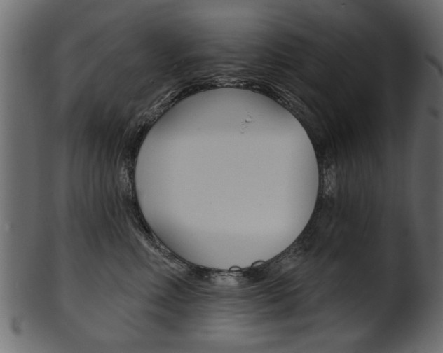 X0000102020618200807180944