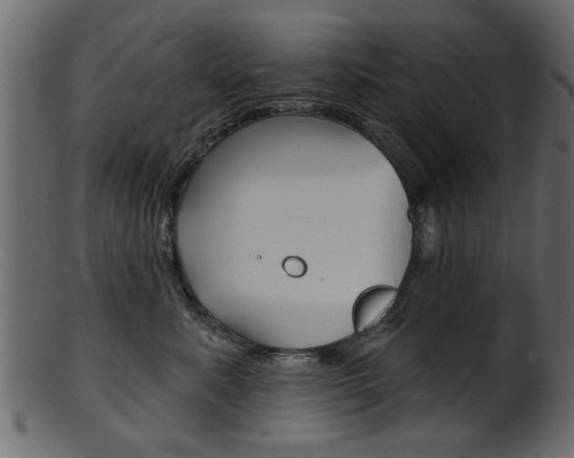 X0000102020619200807180944