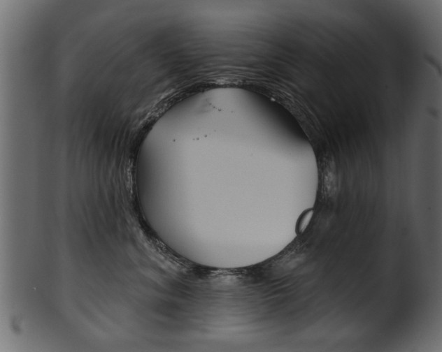 X0000102020620200807180944