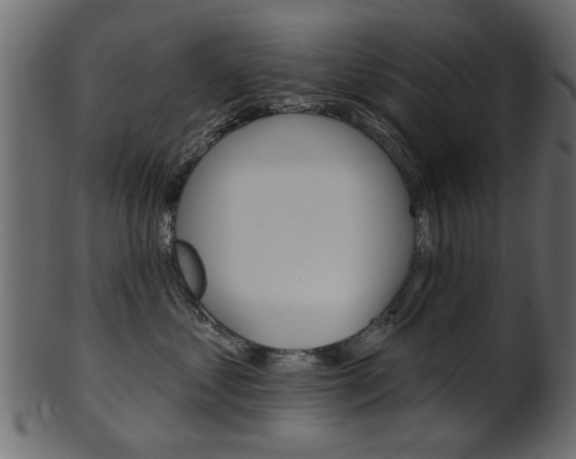 X0000102020621200807180944