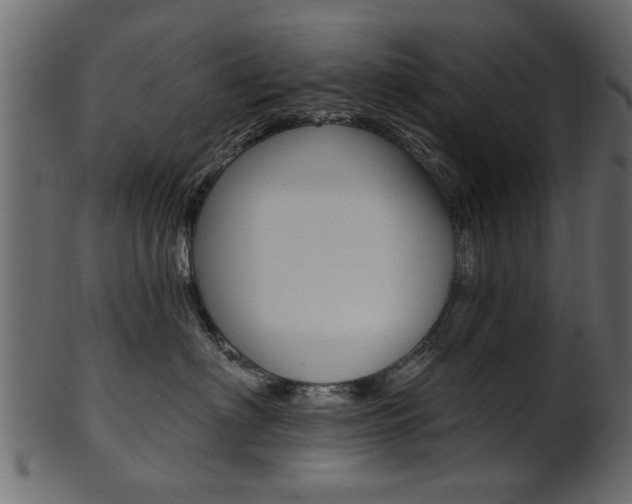 X0000102020622200807180944