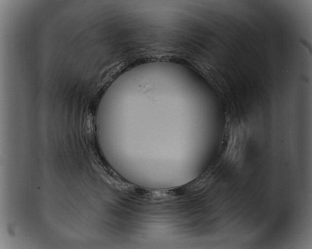 X0000102020623200807180944