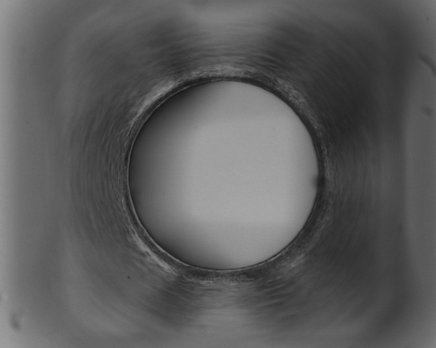 X0000102020625200807180944