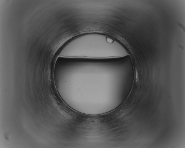 X0000102020627200807180944