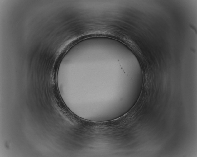X0000102020628200807180944
