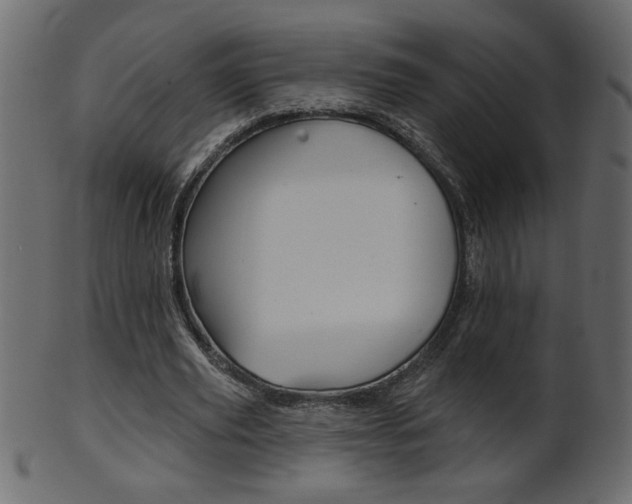 X0000102020629200807180944