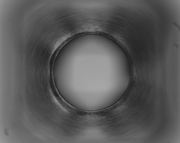 X0000102020630200807180944