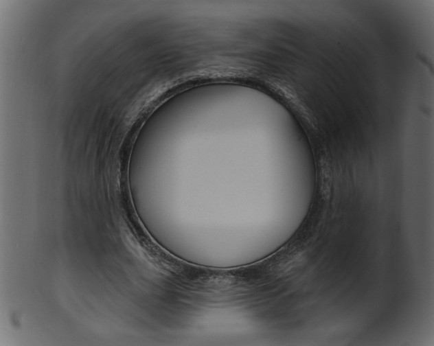 X0000102020631200807180944
