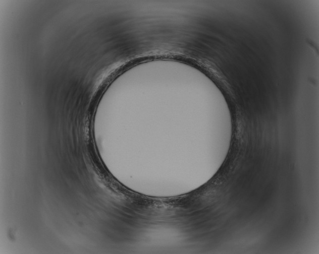 X0000102020632200807180944