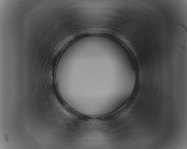 X0000102020633200807180944
