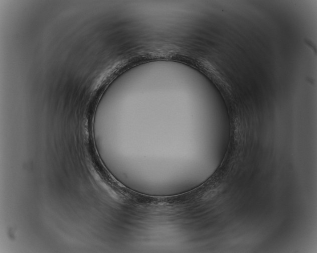 X0000102020634200807180944