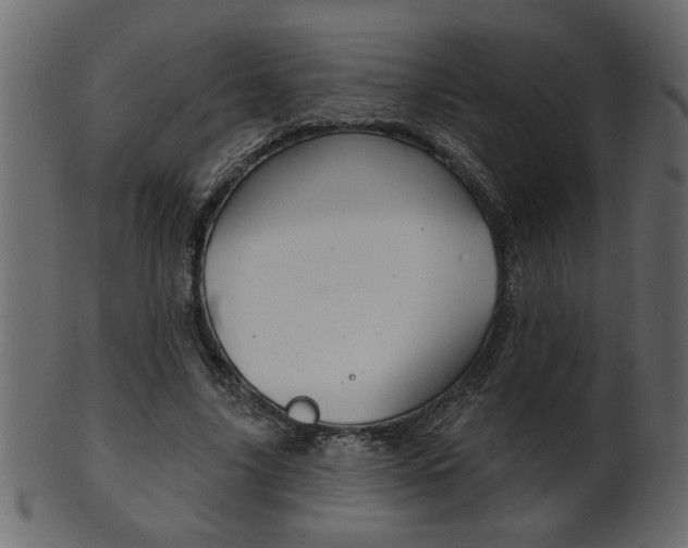 X0000102020635200807180944