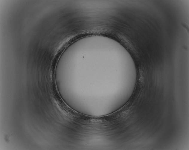 X0000102020636200807180944