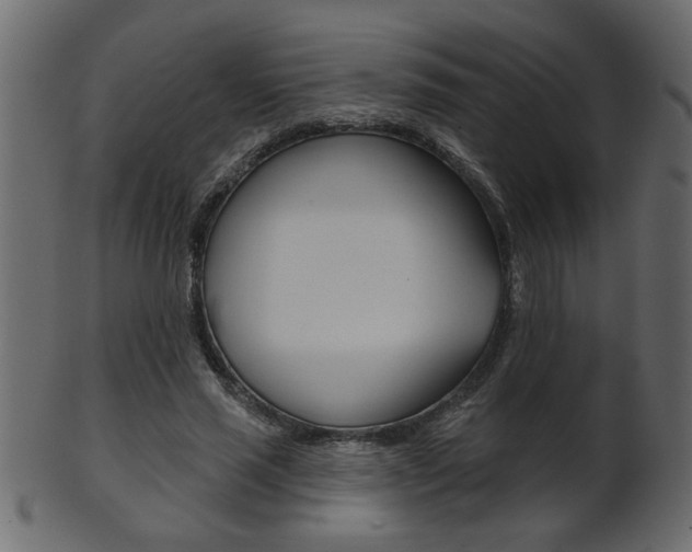 X0000102020637200807180944