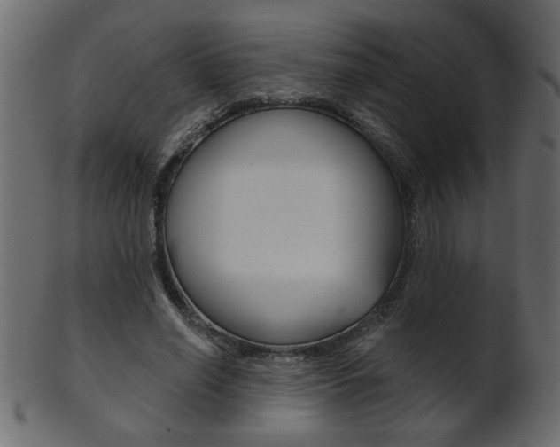 X0000102020638200807180944