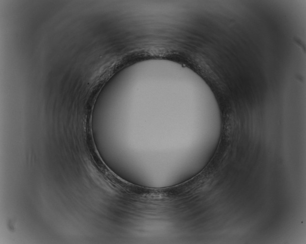 X0000102020639200807180944