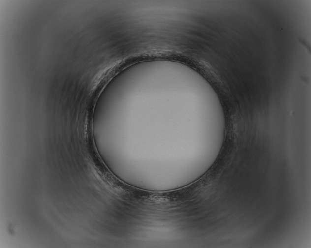 X0000102020640200807180944