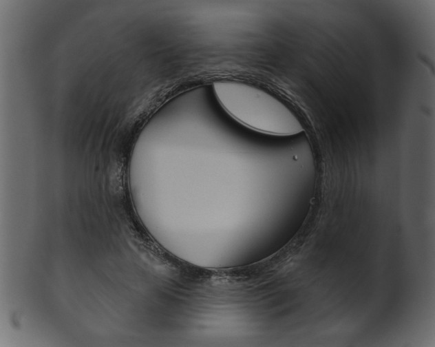 X0000102020641200807180944