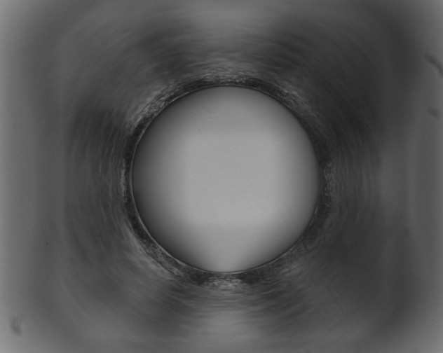 X0000102020642200807180944