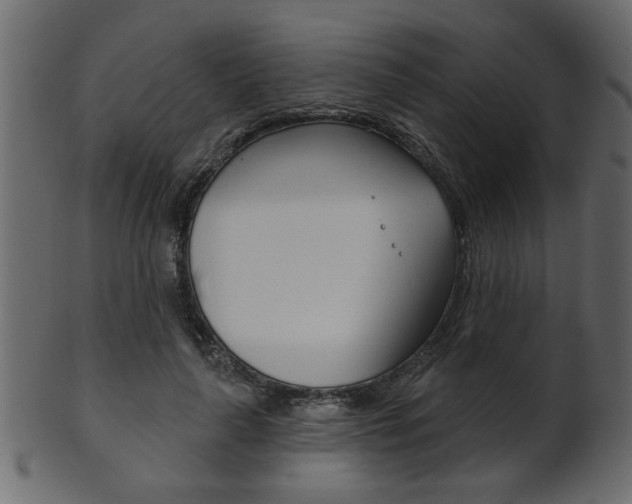 X0000102020643200807180944