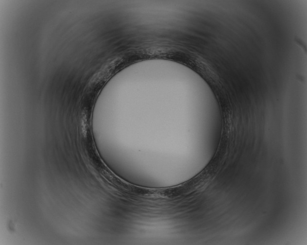 X0000102020644200807180944