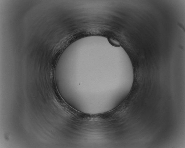X0000102020645200807180944