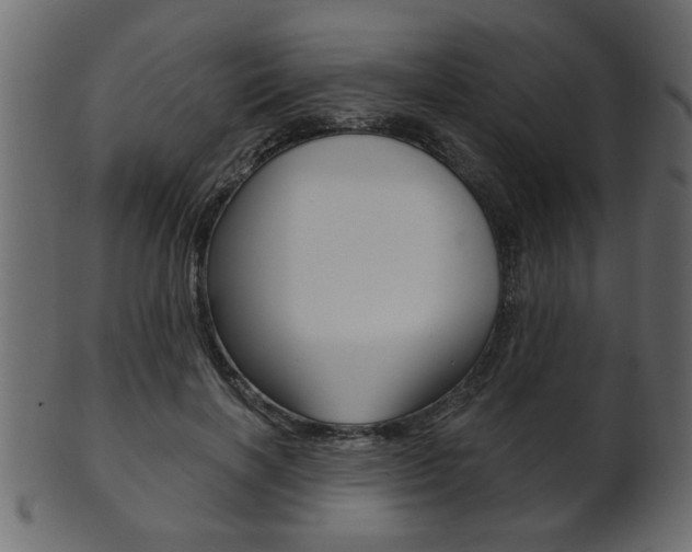 X0000102020646200807180944