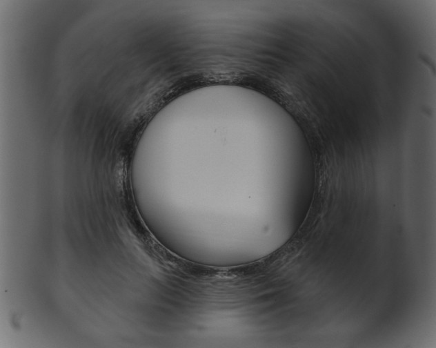 X0000102020647200807180944