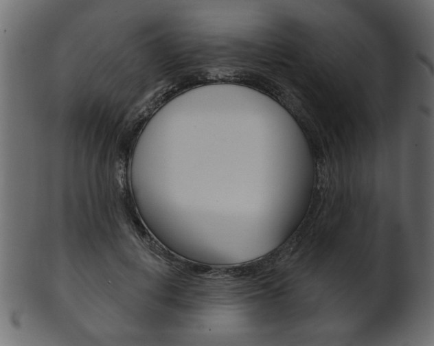 X0000102020648200807180944