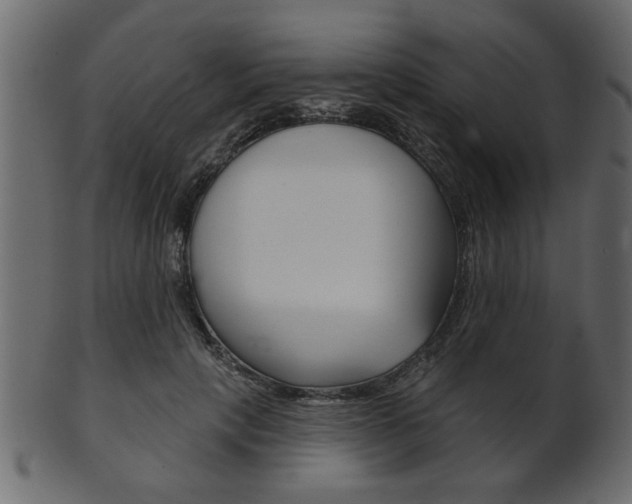 X0000102020649200807180944