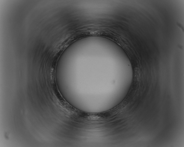 X0000102020650200807180944