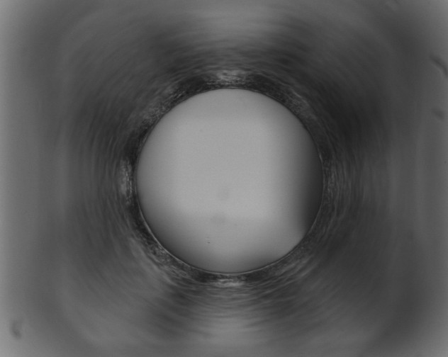 X0000102020651200807180944