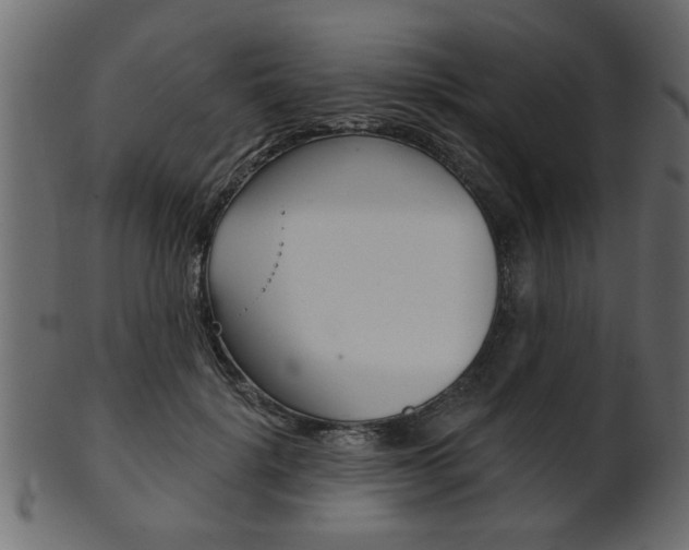 X0000102020652200807180944