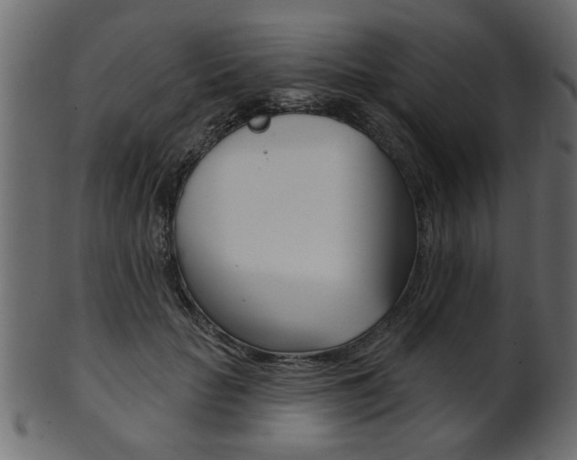 X0000102020653200807180944