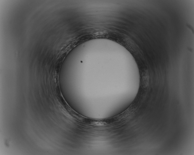 X0000102020654200807180944