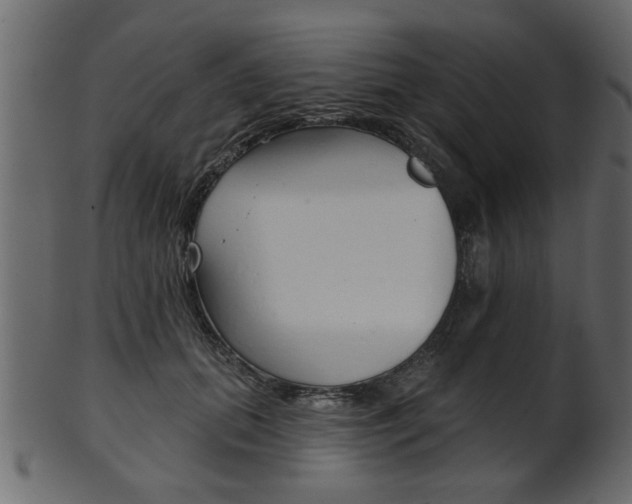 X0000102020655200807180944