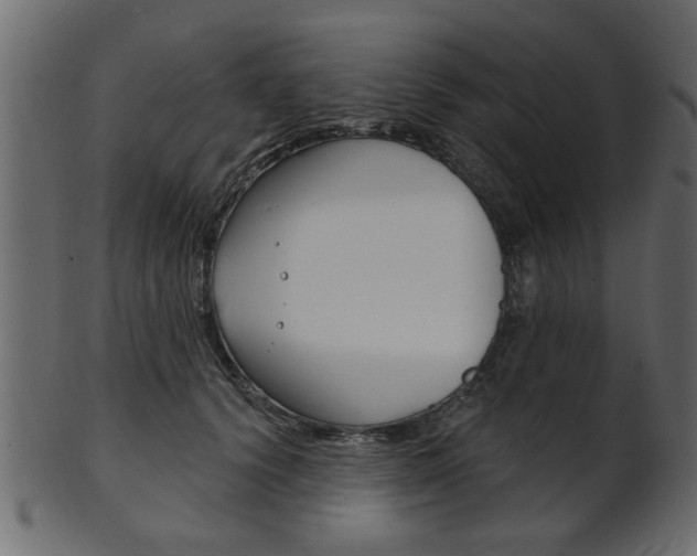 X0000102020656200807180944