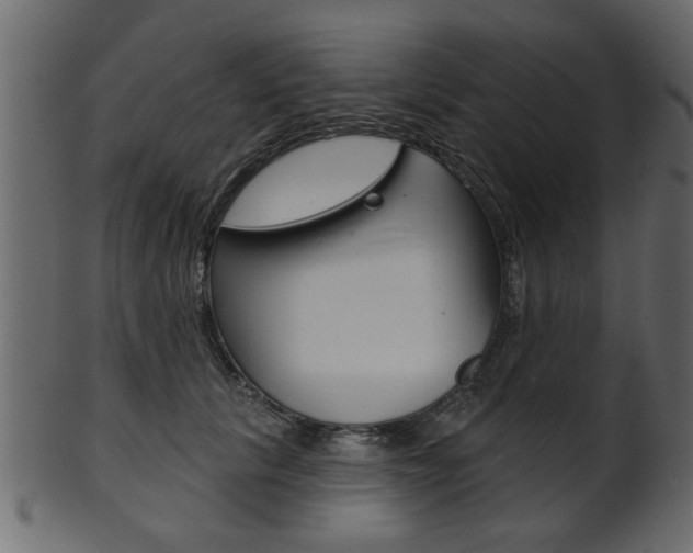 X0000102020657200807180944