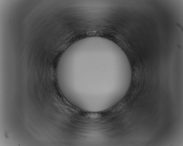 X0000102020659200807180944