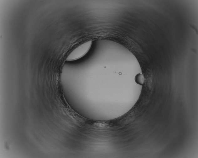 X0000102020660200807180944