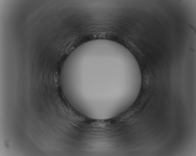 X0000102020661200807180944