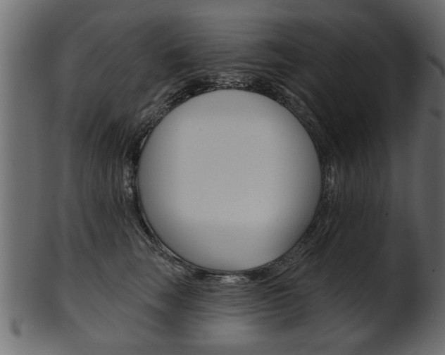 X0000102020663200807180944